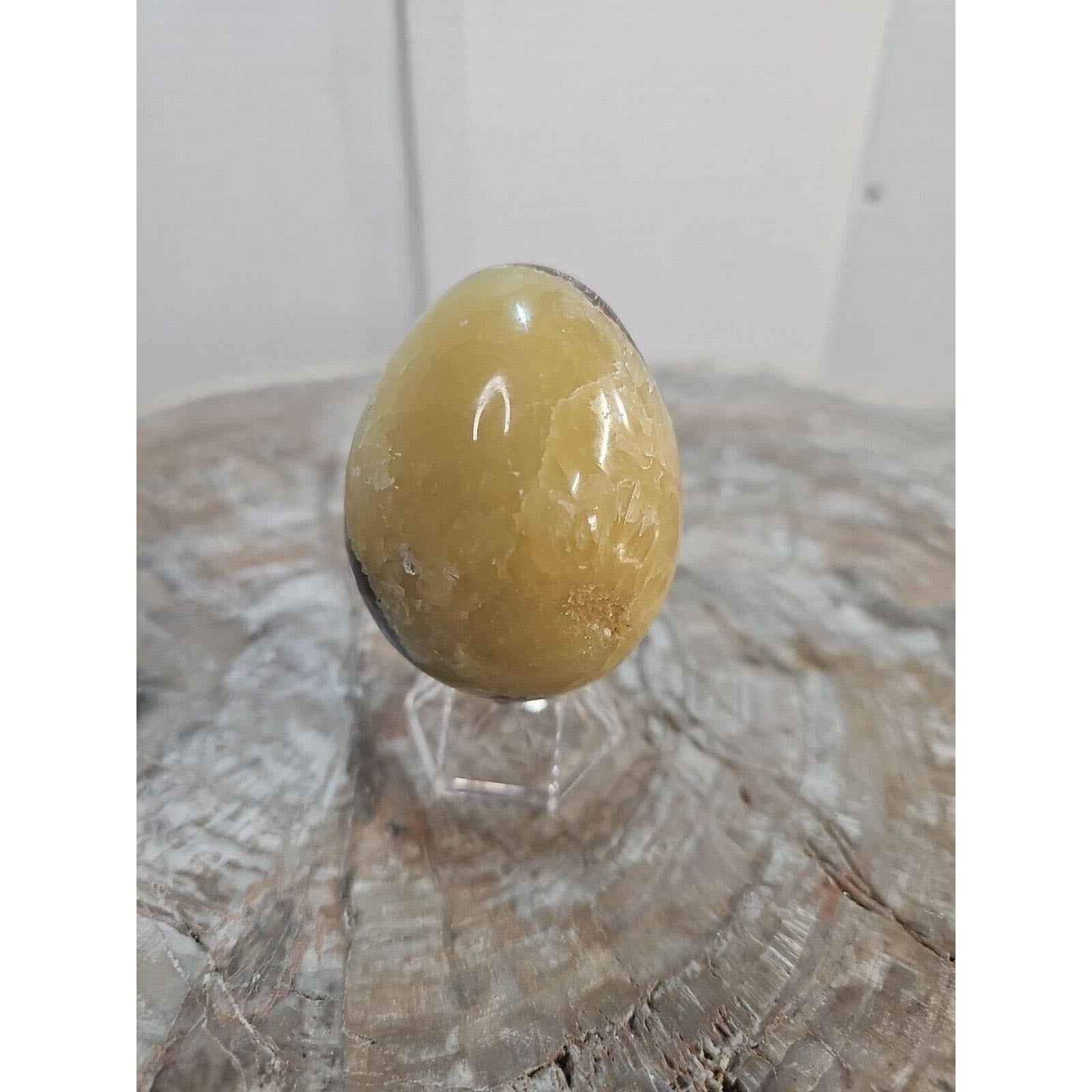 9.0oz Natural Septarian Dragon quartz Crystal egg Mineral Specimen W/Stand by natural