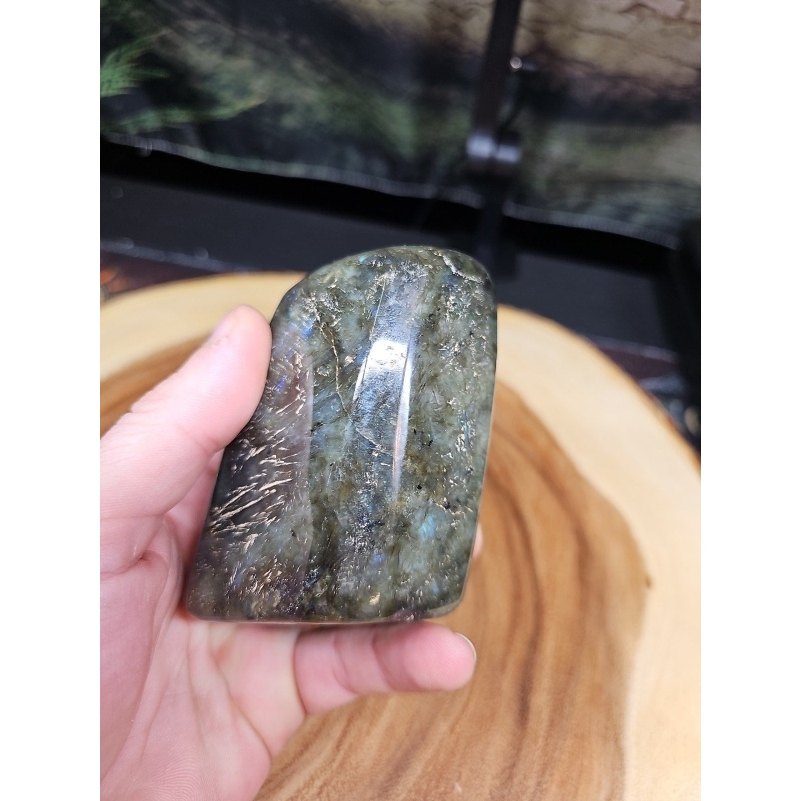 1LB 1Pcs Natural Rainbow Labradorite Crystal Spectrolite Stone by CrystalCloud Company