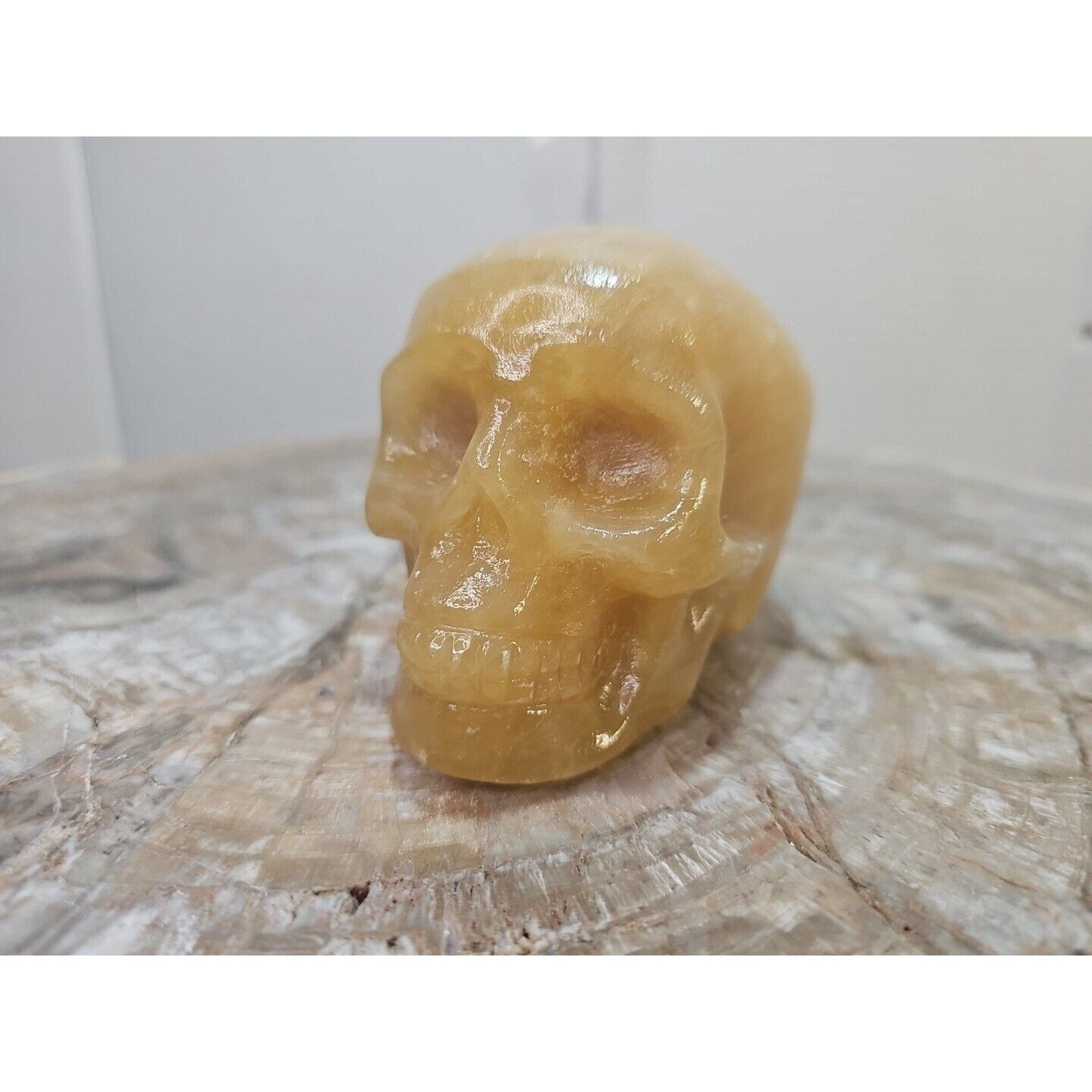 1.48 1Pcs Natural Jasper Calcite Skull Crystal Carving Stones Healing by CrystalCloud Company
