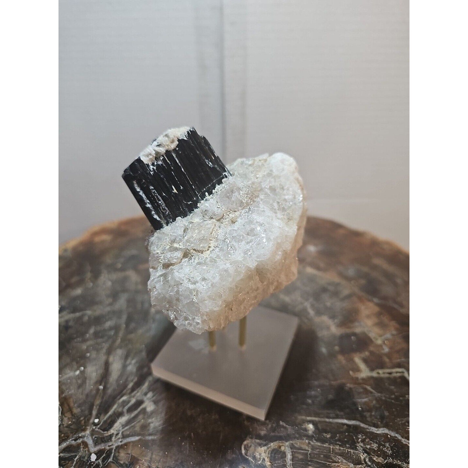 Black Tourmaline Raw Mineral Specimen — 1.11 lbs, Rough Natural Crystal | CrystalCloud Company by CrystalCloud Company
