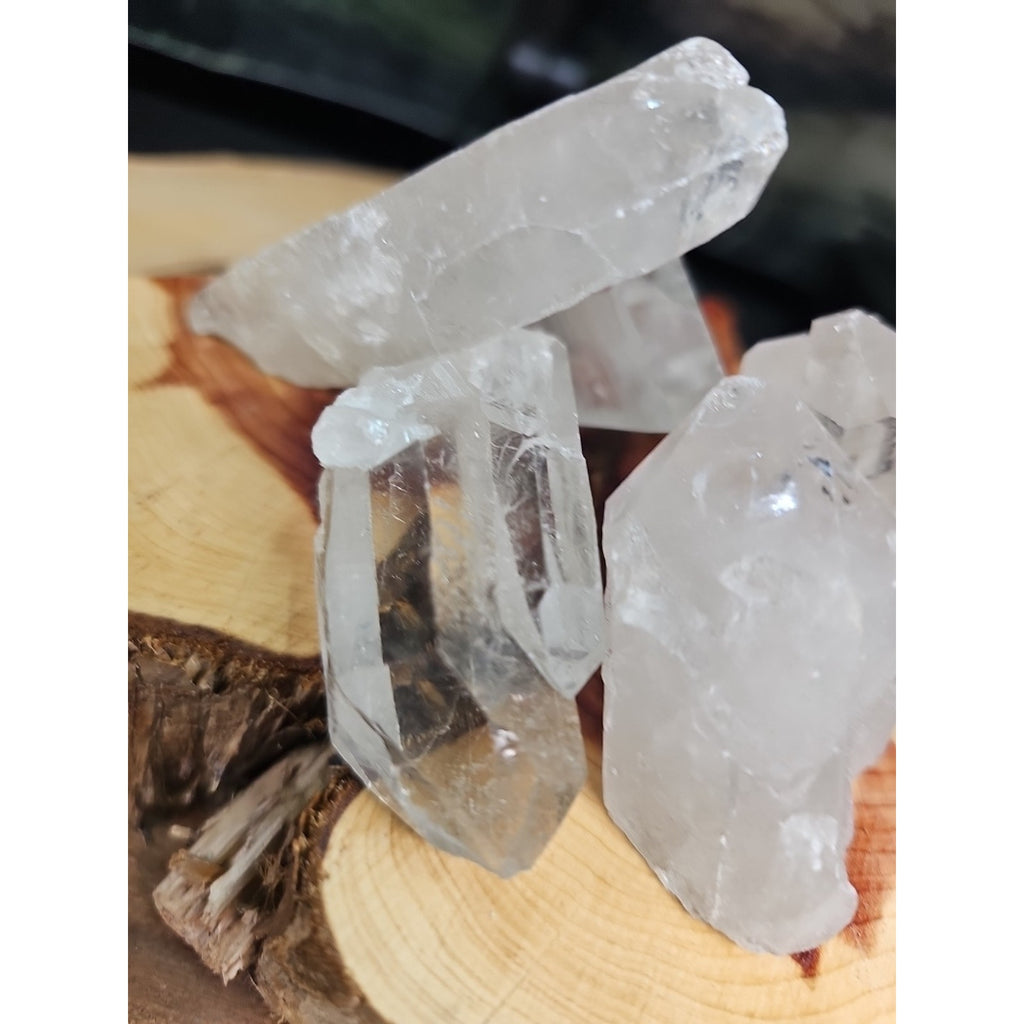 Brazilian Quartz Crystal W/wood Base .77lb Crystals by CrystalCloud Company