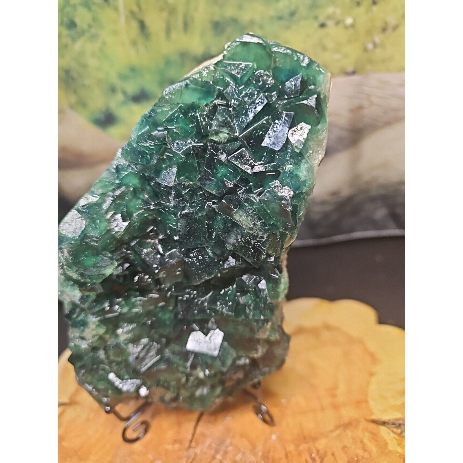 3.2lb NATURAL Green FLUORITE Quartz Crystal Cluster Mineral Specimen by CrystalCloud Company