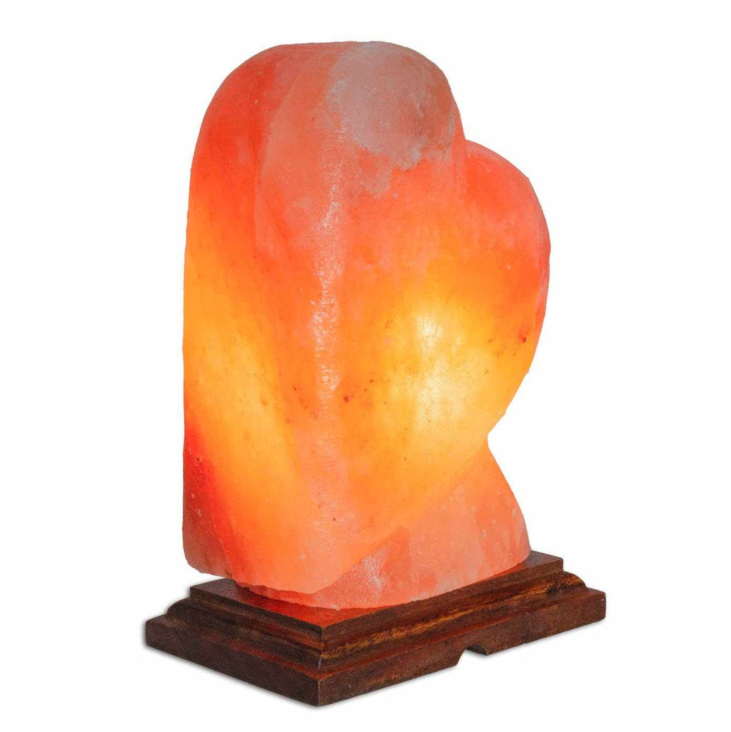 Heart Shaped Salt Lamp - 10" avg. - Cord, Bulb, Dimmer by Sacred Crystals