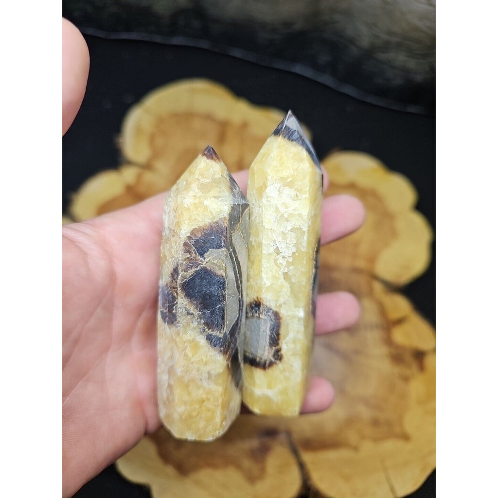 .59LB 2Pcs Natural Dragon Septarian Geode Quartz Cluster Crystal Point Healing by CrystalCloud Company