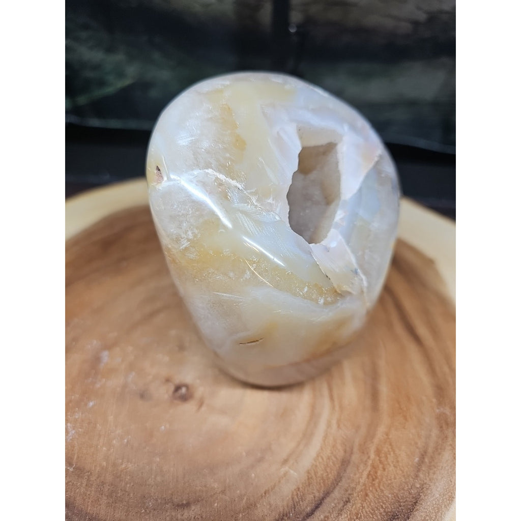 2.69LB 1Pcs Natural Agate Carnelian Quartz Crystal Decoration Geode by CrystalCloud Company
