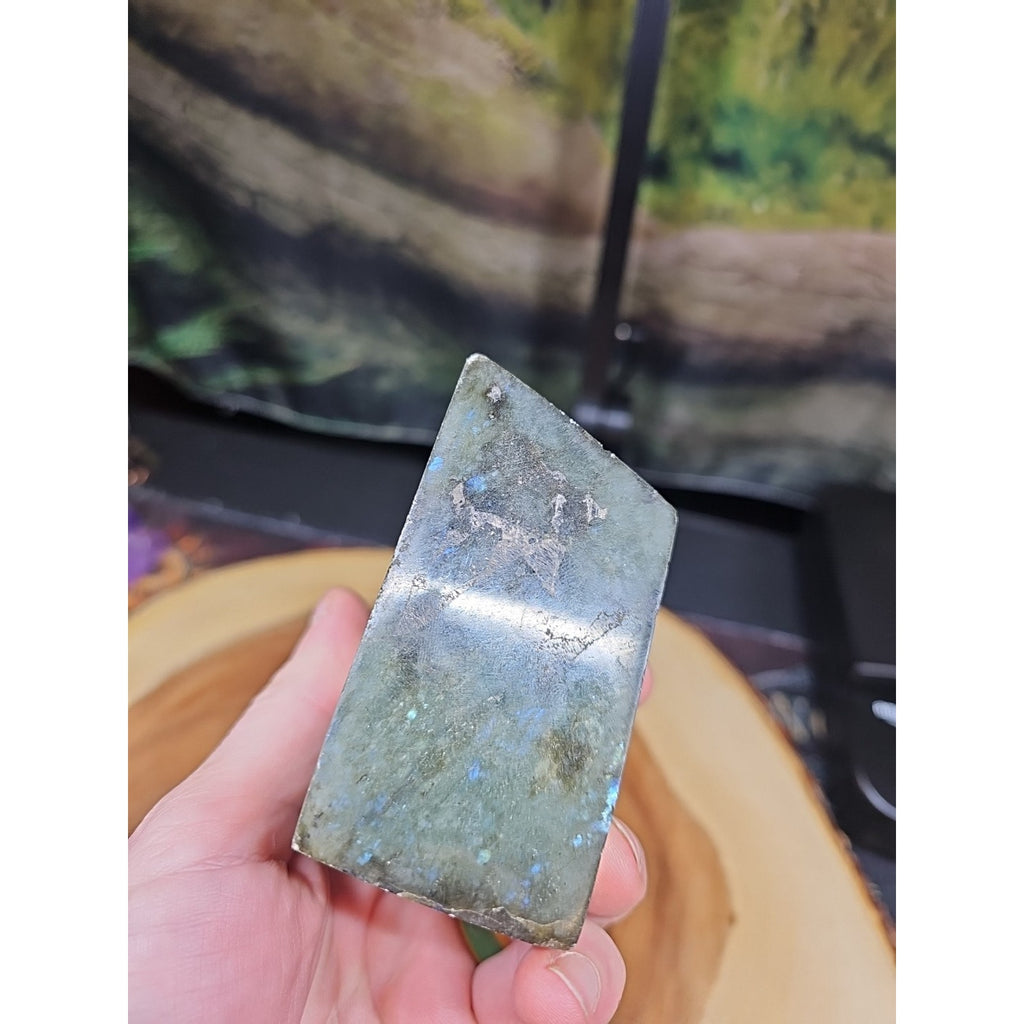 1.11LB 1Pcs Natural Rainbow Labradorite Crystal Spectrolite Stone by CrystalCloud Company