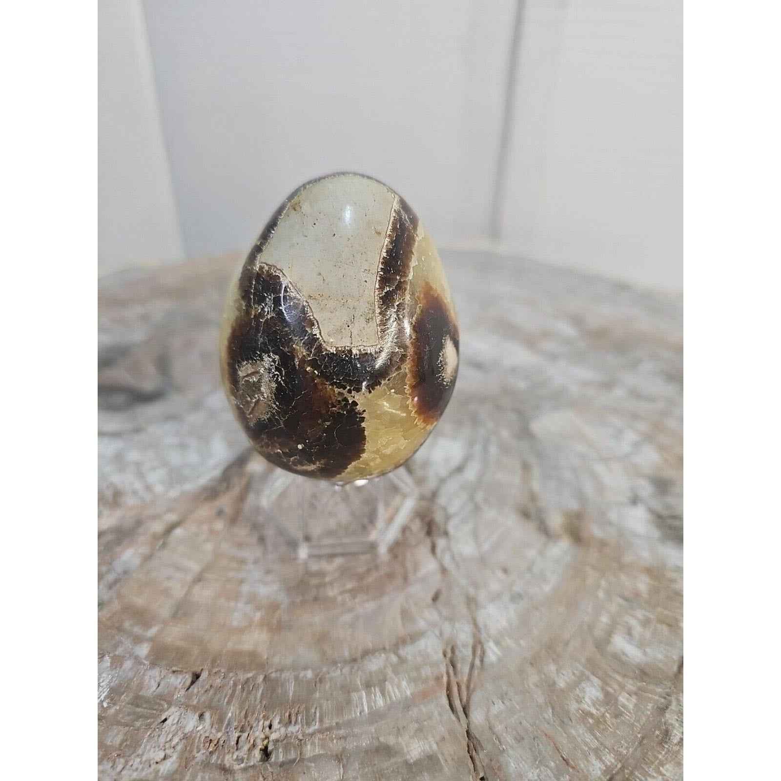 9.0oz Natural Septarian Dragon quartz Crystal egg Mineral Specimen W/Stand by natural