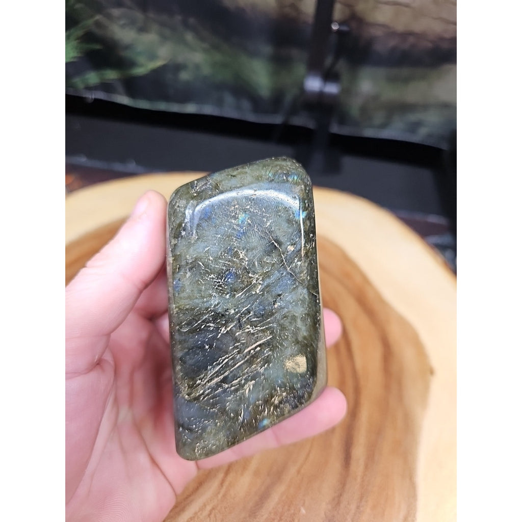 1LB 1Pcs Natural Rainbow Labradorite Crystal Spectrolite Stone by CrystalCloud Company