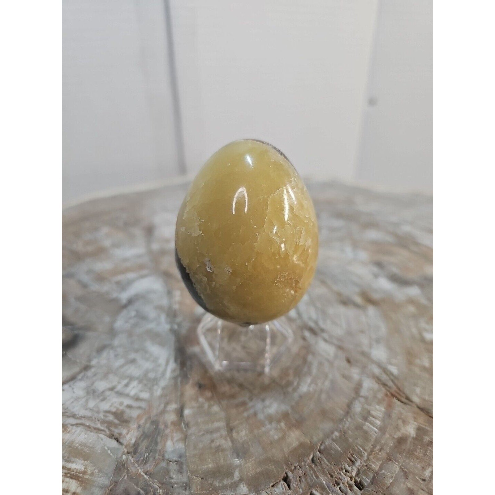 9.0oz Natural Septarian Dragon quartz Crystal egg Mineral Specimen W/Stand by CrystalCloud Company