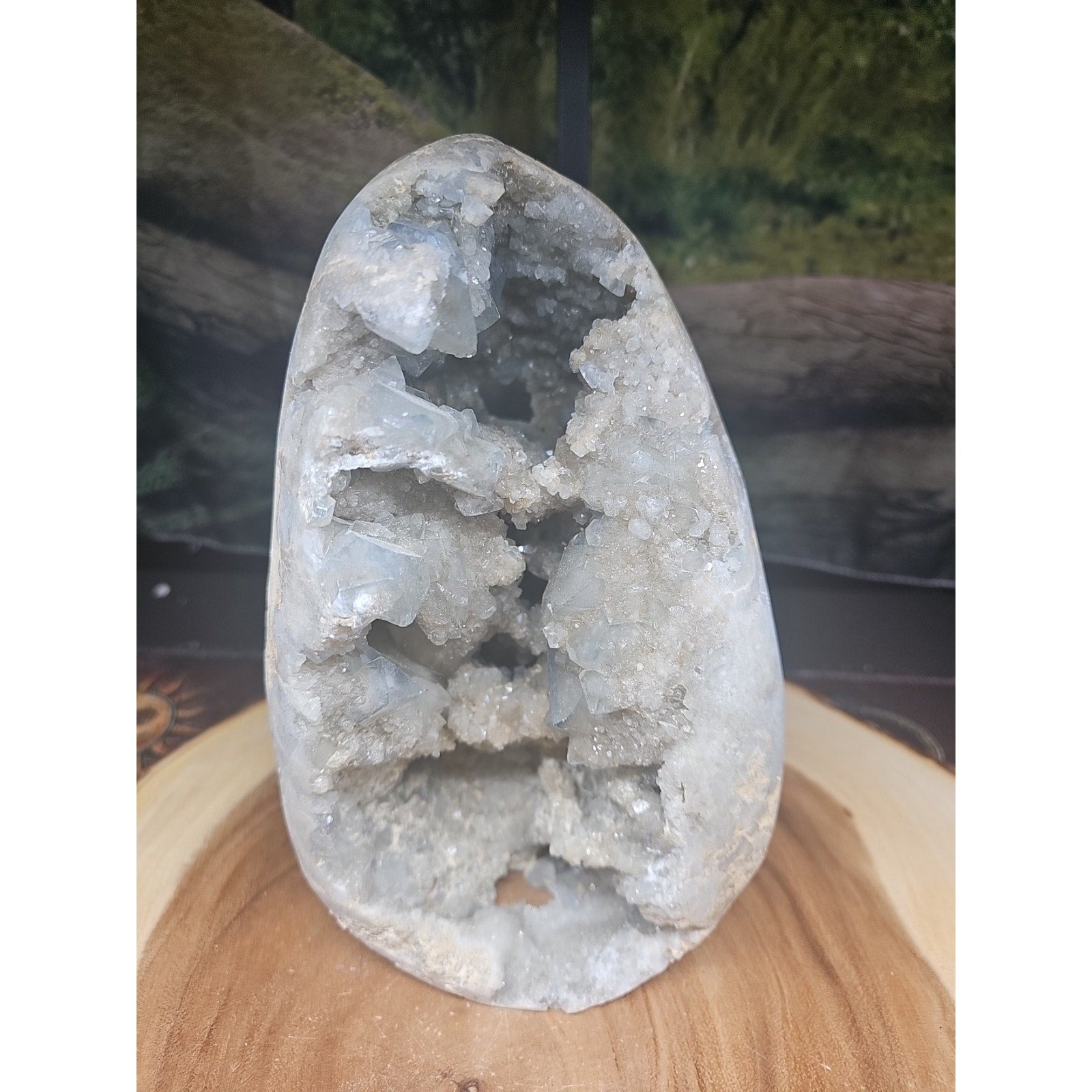 Large Baby Blue Celestite Geode Cluster — 13.6 lbs, 8 inches, Brazil | CrystalCloud Company by CrystalCloud Company
