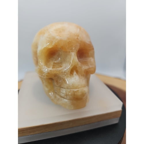 .89lb Natural Jasper Calcite Skulls Crystal Carving Mixed Stones Healing by CrystalCloud Company
