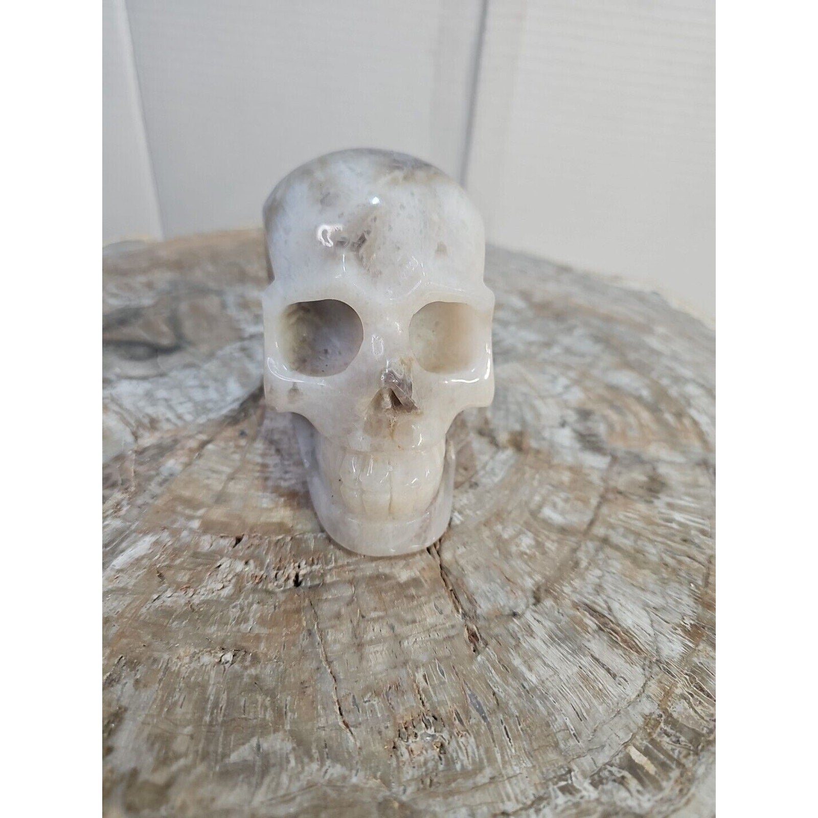 2.2 lb Natural Amethyst Hand-Carved Crystal Skull — Spiritual Collector Piece | CrystalCloud Company by CrystalCloud Company
