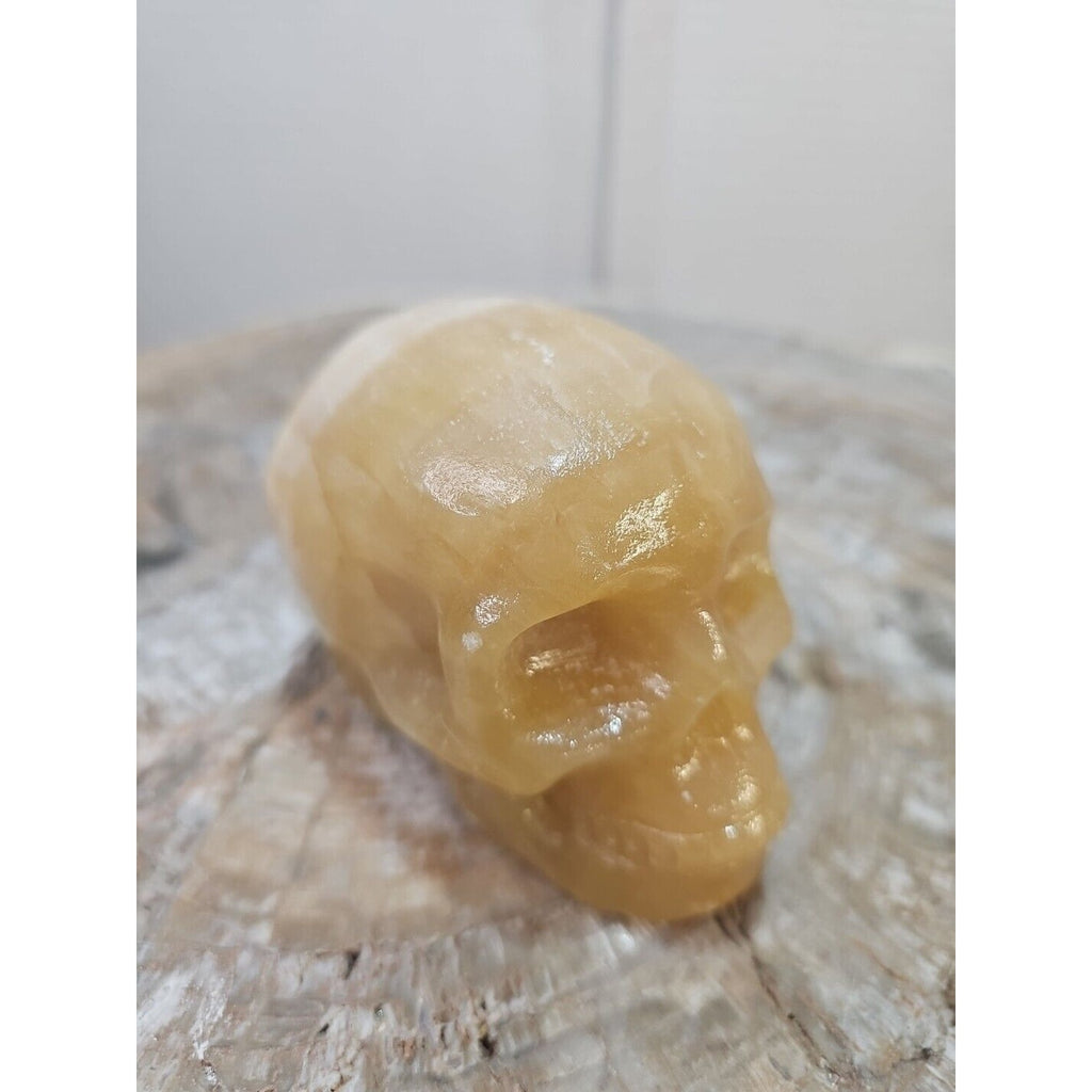 1.48 1Pcs Natural Jasper Calcite Skull Crystal Carving Stones Healing by CrystalCloud Company