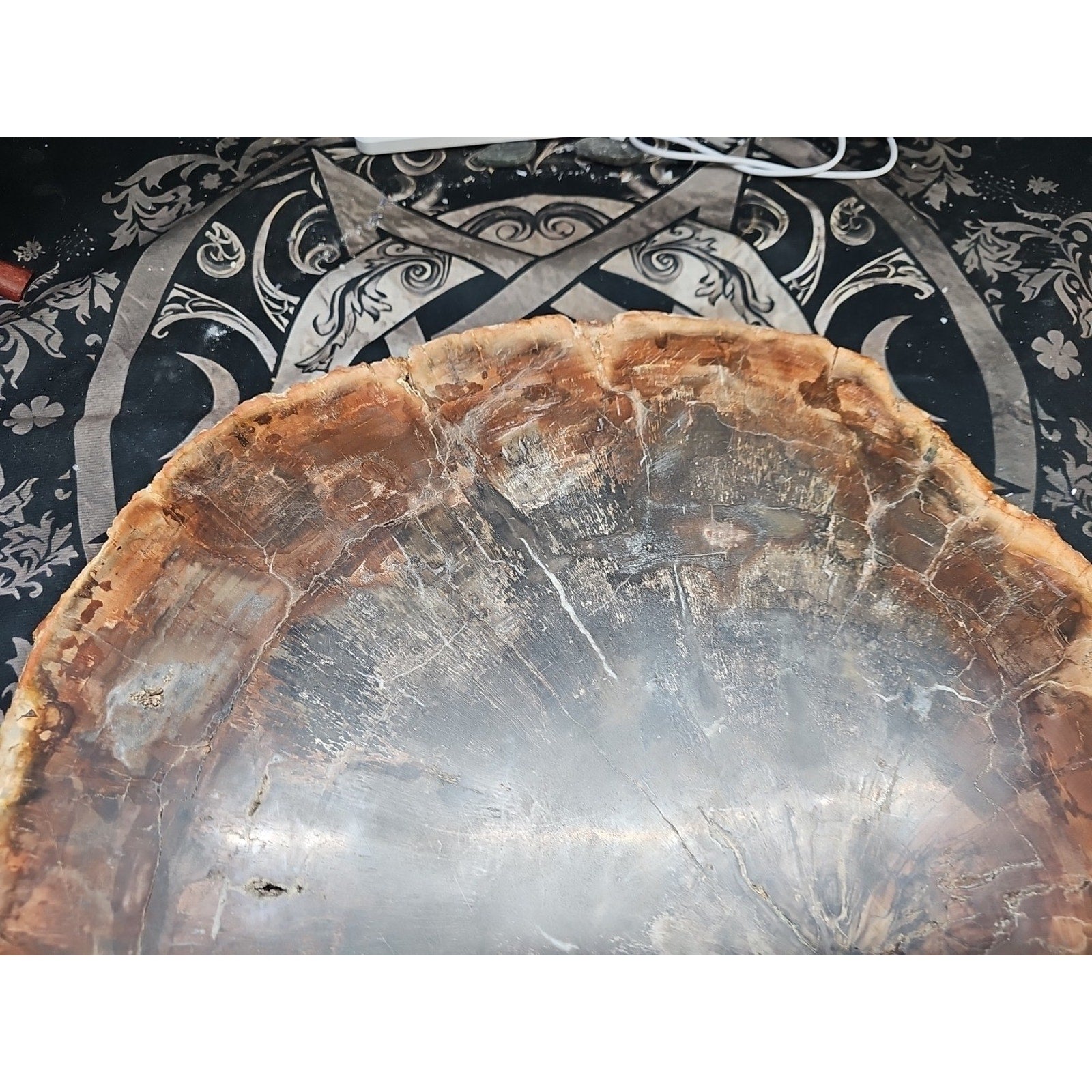 27.3 lb Fossil Wood Quartz Hedgehog Sculpture — Artisan Mineral Statement Piece | CrystalCloud Company by CrystalCloud Company