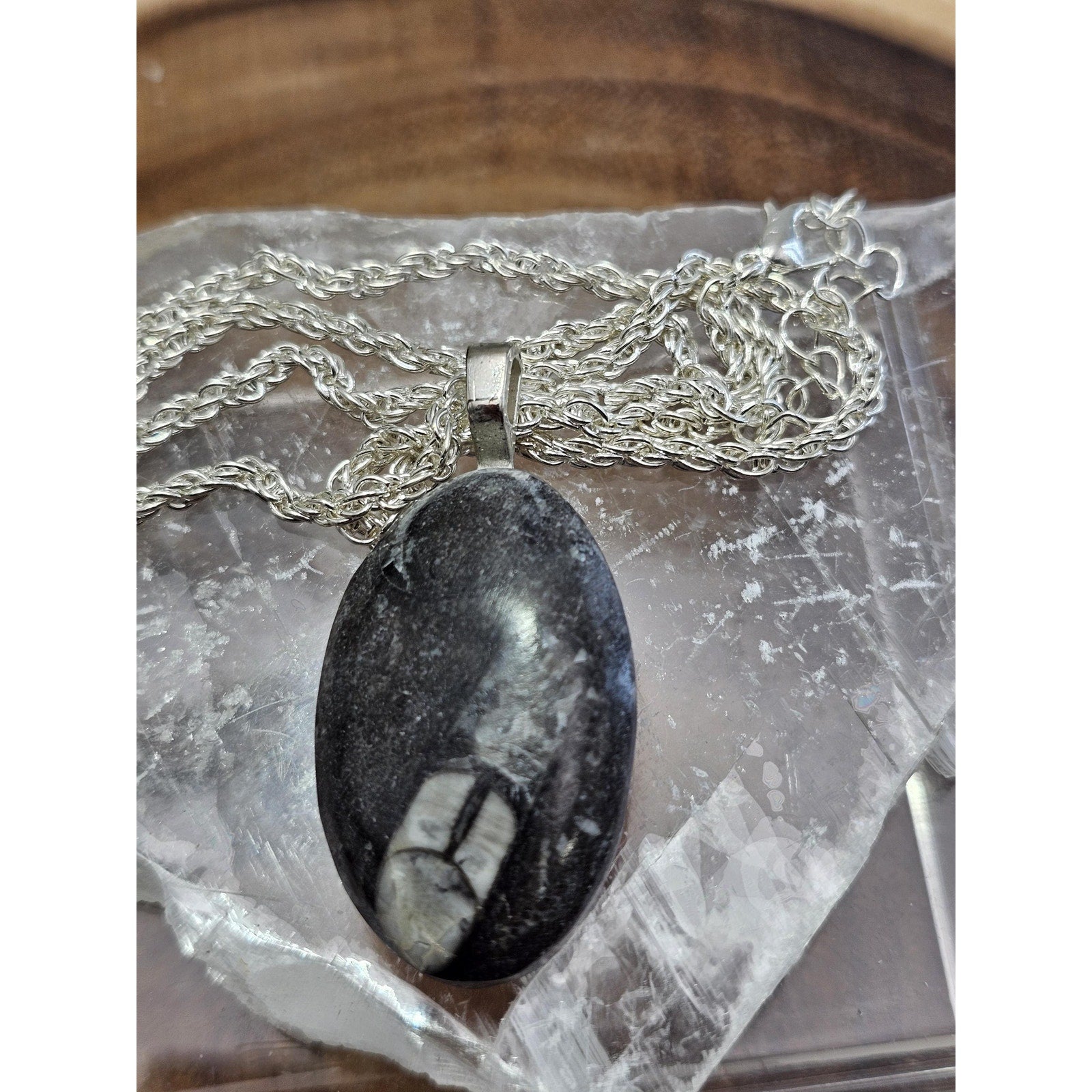 Orthoceras fossil pendant w/925 silver by CrystalCloud Company