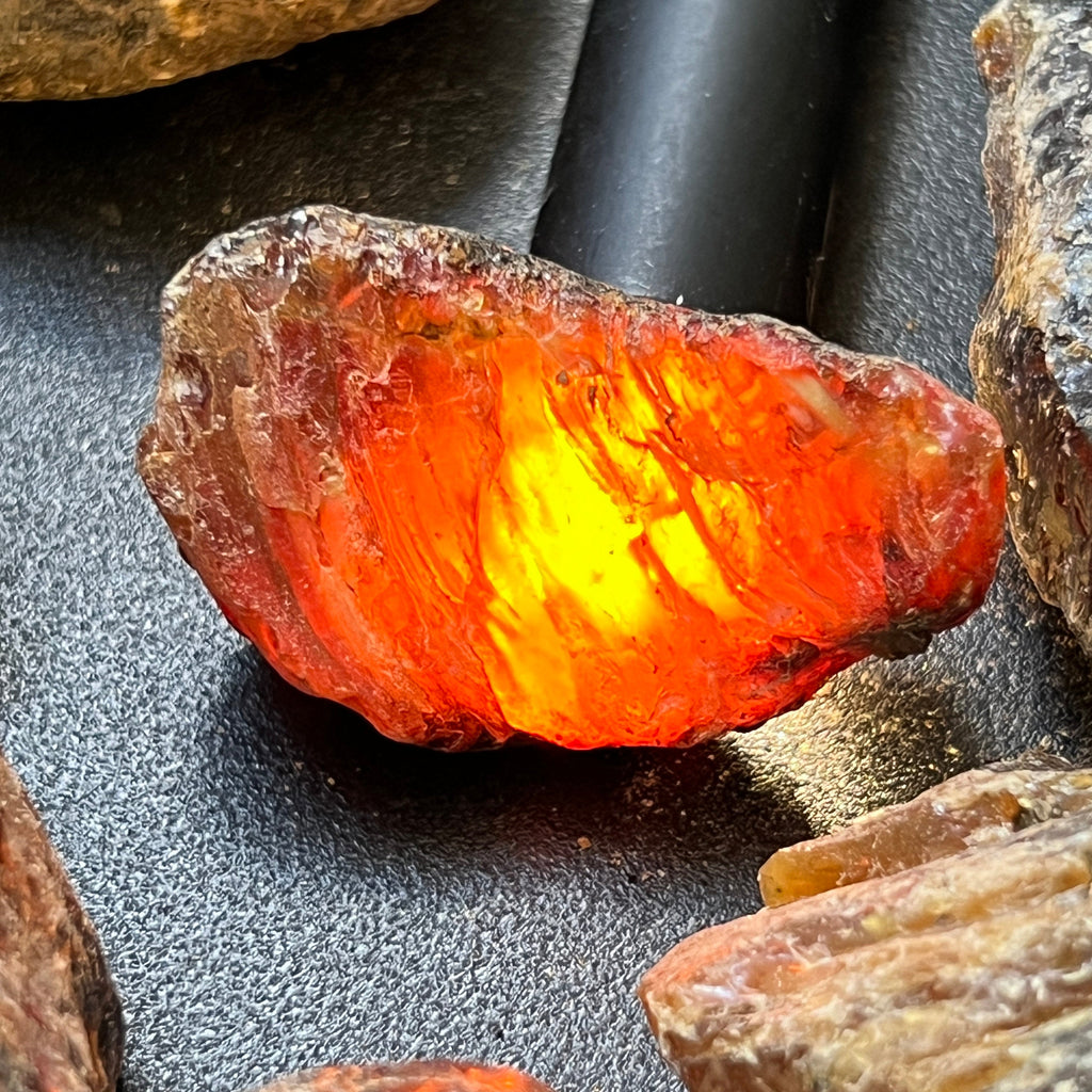 Black Amber Fossilized Tree Resin Mixed Sizes Rough Raw Stones (By The Piece or Pound)(UV Reactive) Wholesale by Amazing Crystals