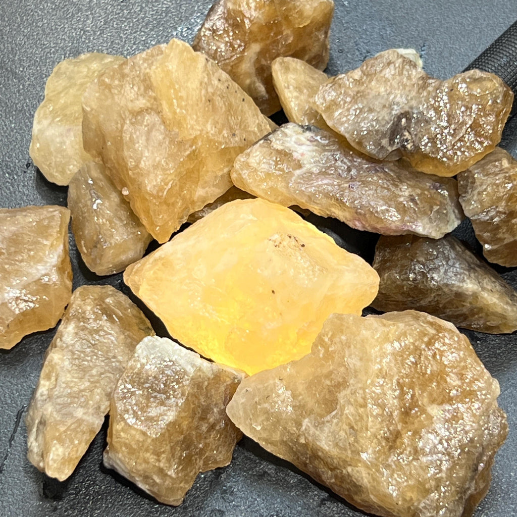 Citrine Crystal (Untreated) Rough Raw Stones (By The Piece or Pound) Wholesale by Amazing Crystals