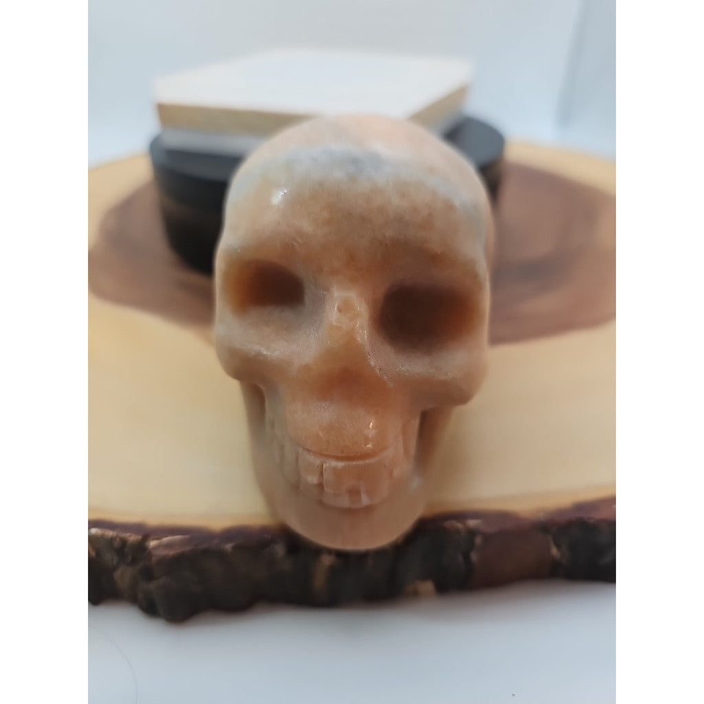 1.24lb Natural Jasper Calcite Skulls Crystal Carving Mixed Stones Healing by CrystalCloud Company