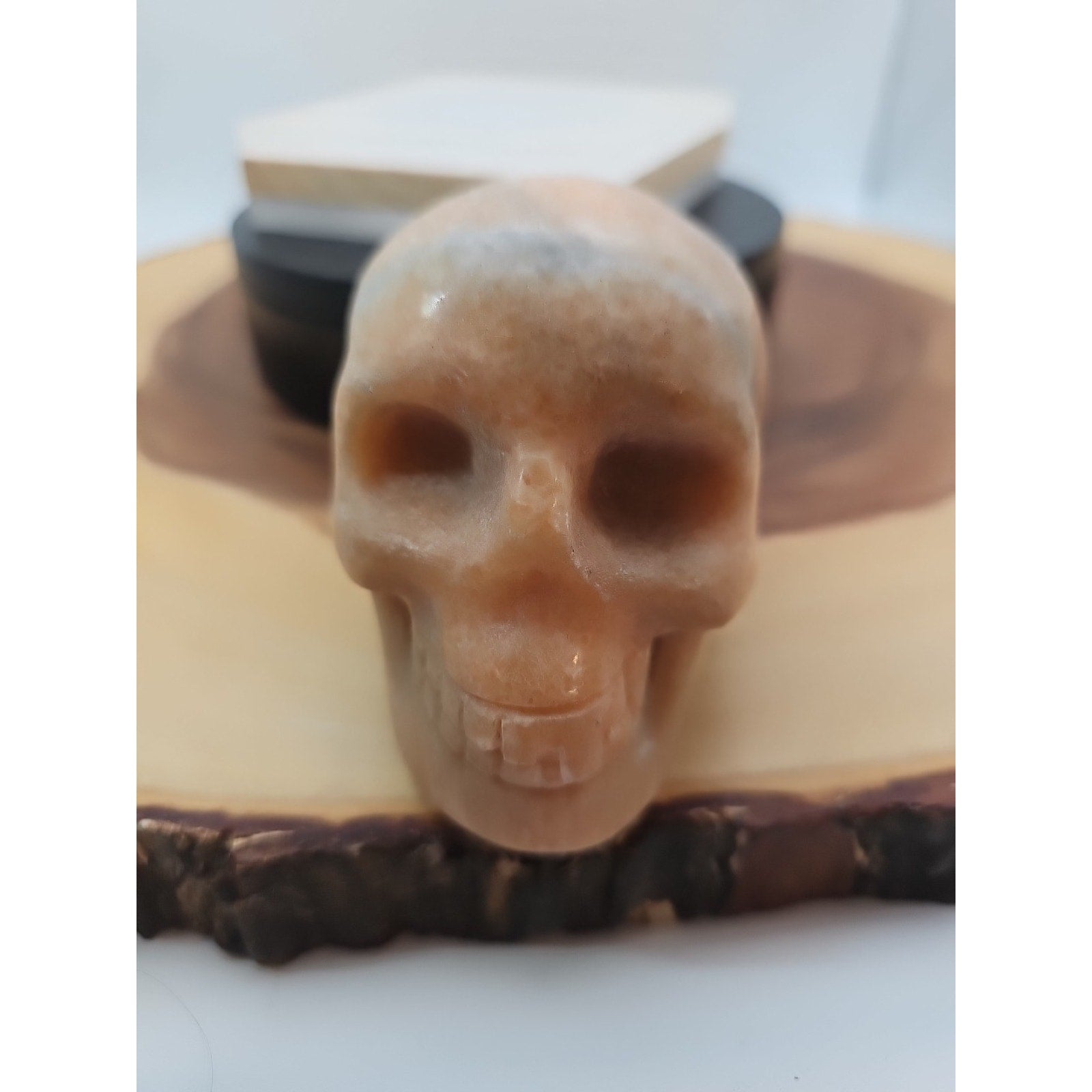 1.24lb Natural Jasper Calcite Skulls Crystal Carving Mixed Stones Healing by CrystalCloud Company