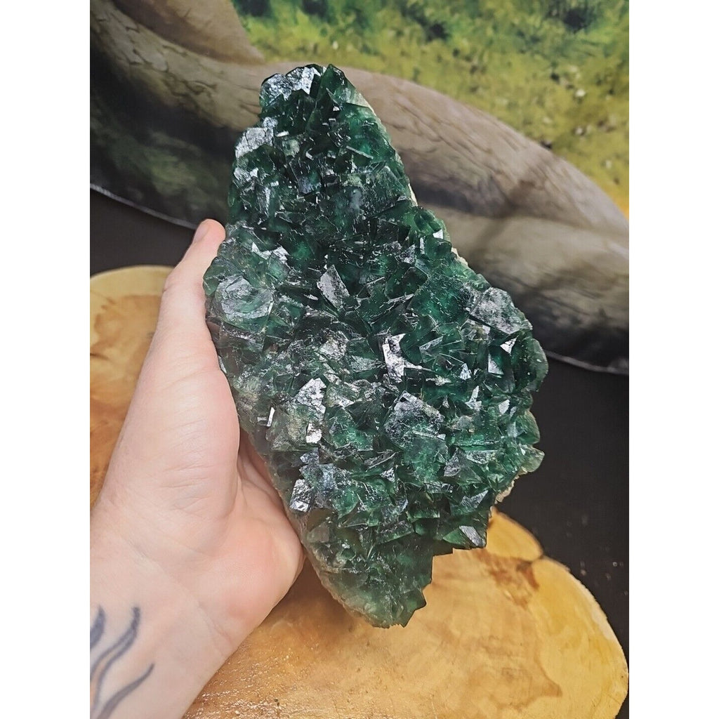 3.2lb NATURAL Green FLUORITE Quartz Crystal Cluster Mineral Specimen by CrystalCloud Company