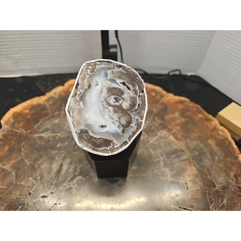Polish Geode 273g by CrystalCloud Company