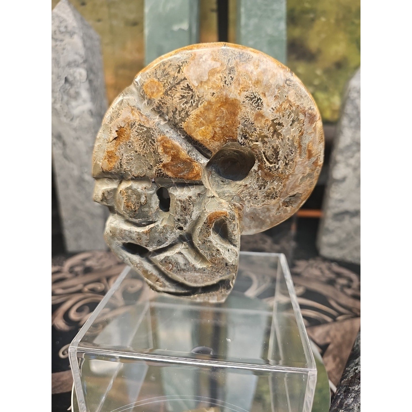1.12LB Natural Madagascar Ammonite Fossil - Ancient Geometry Specimen | CrystalCloud Company by CrystalCloud Company