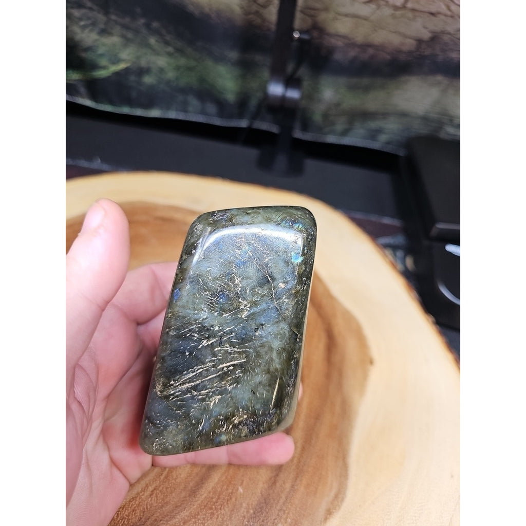 1LB 1Pcs Natural Rainbow Labradorite Crystal Spectrolite Stone by CrystalCloud Company