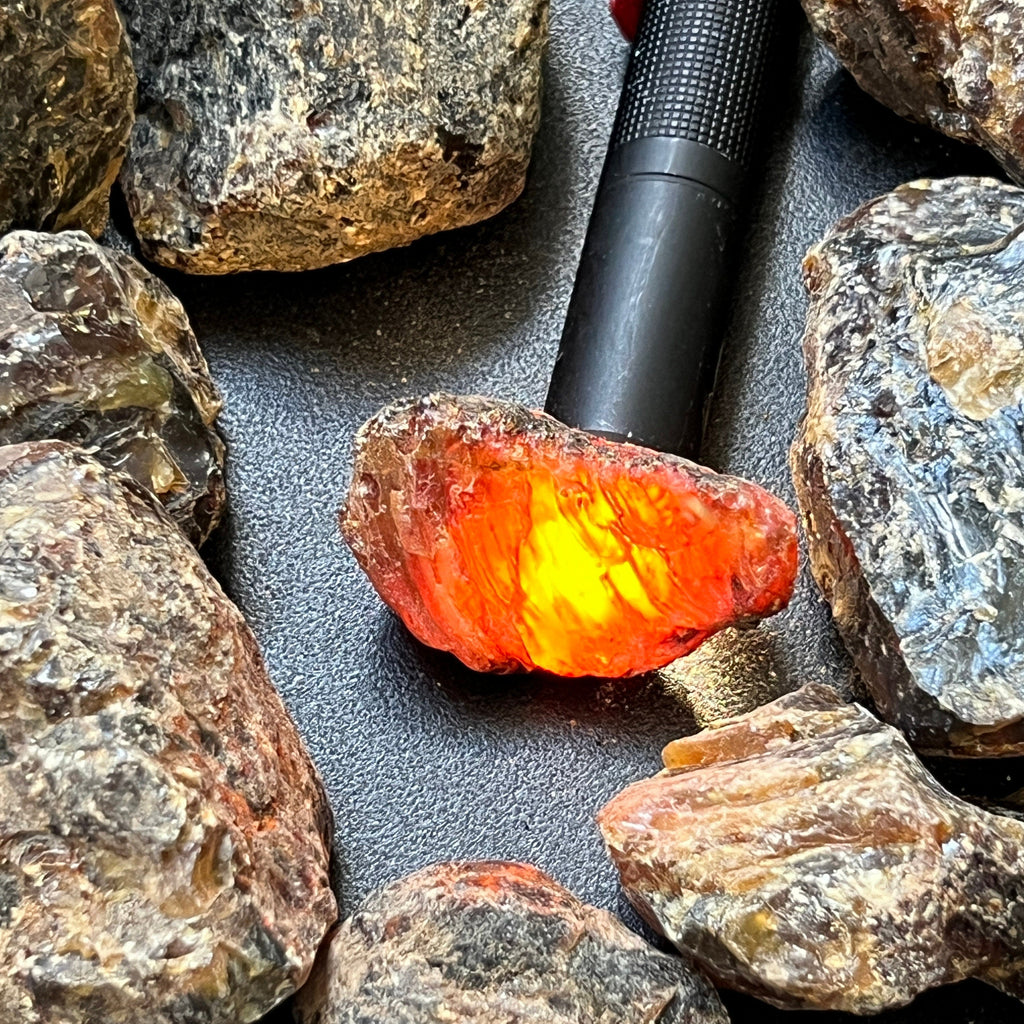 Black Amber Fossilized Tree Resin Mixed Sizes Rough Raw Stones (By The Piece or Pound)(UV Reactive) Wholesale by Amazing Crystals