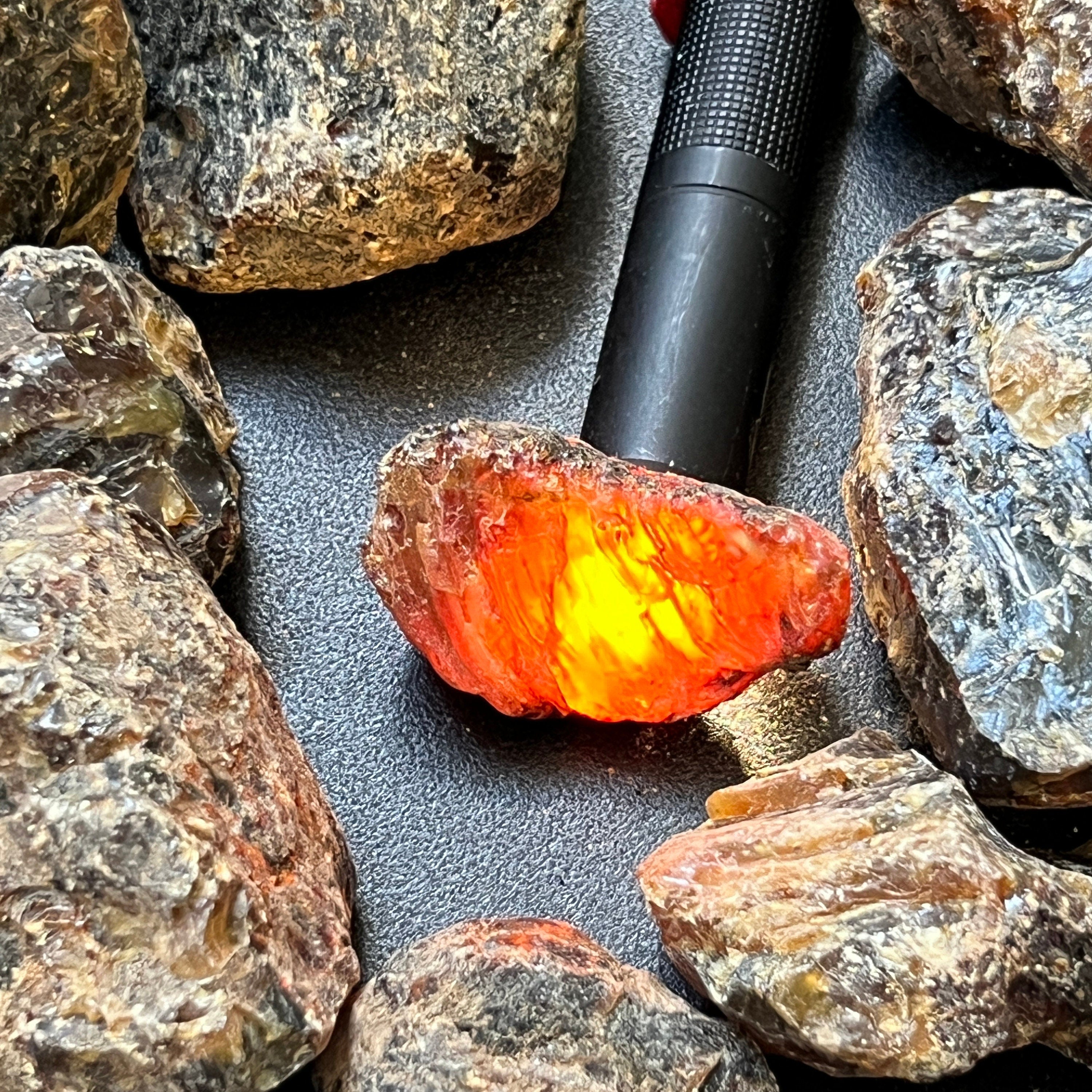 Black Amber Fossilized Tree Resin Mixed Sizes Rough Raw Stones (By The Piece or Pound)(UV Reactive) Wholesale by Amazing Crystals