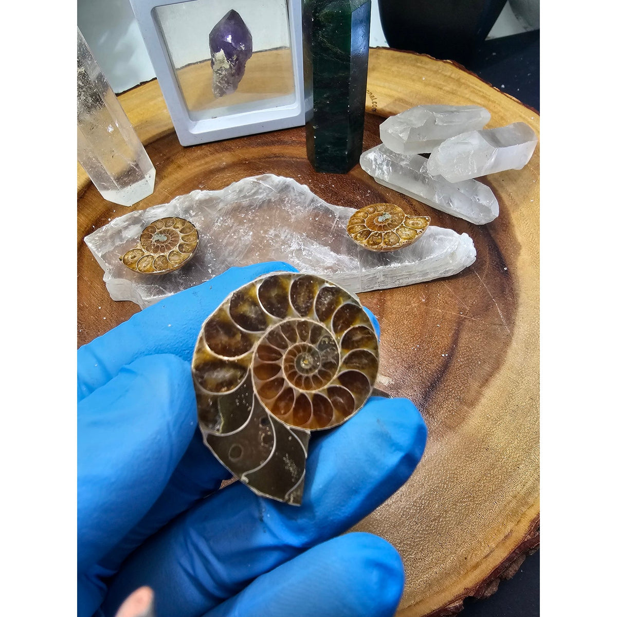 Crystal Set Lot — Ammonites, Selenite Slab, Amethyst, Clear Quartz, Green Quartz Tower, Ocean Jasper