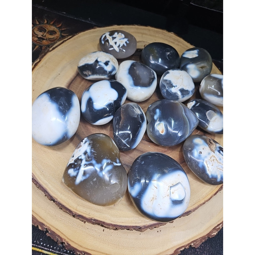 1each Natural Orca Agate Killer Whale Carnelian Crystal Heart Palm Healing by CrystalCloud Company