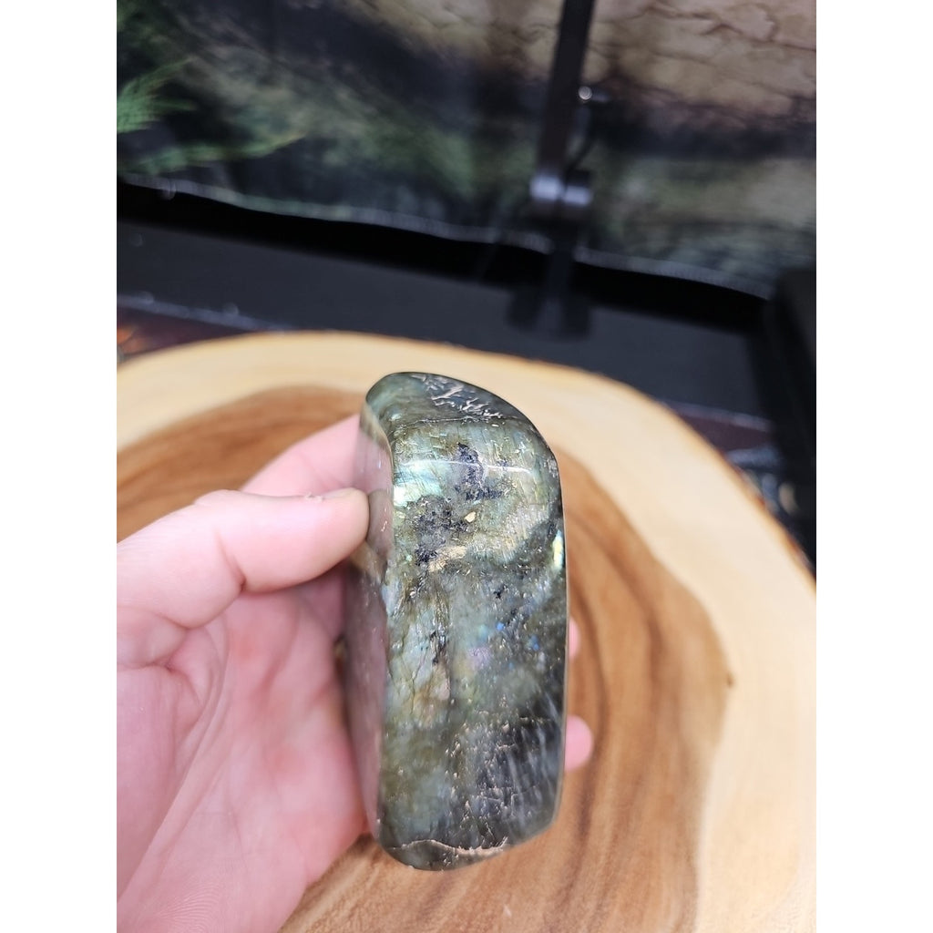 1LB 1Pcs Natural Rainbow Labradorite Crystal Spectrolite Stone by CrystalCloud Company