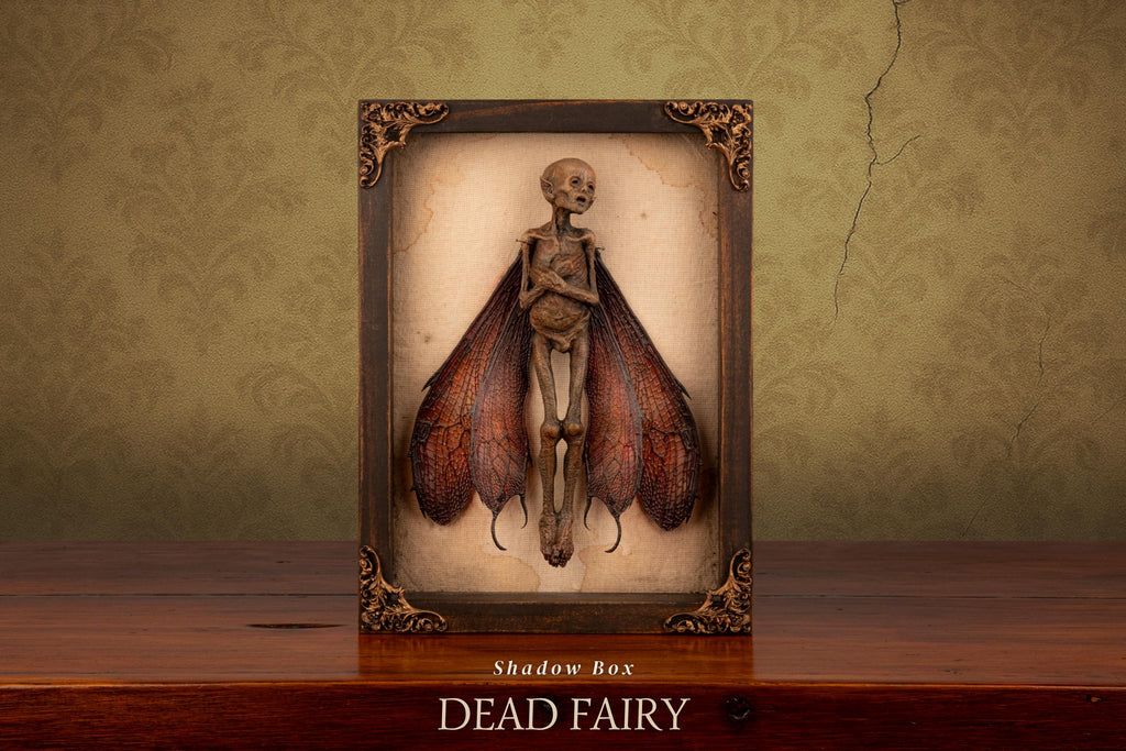 Dead Fairy Shadow Box