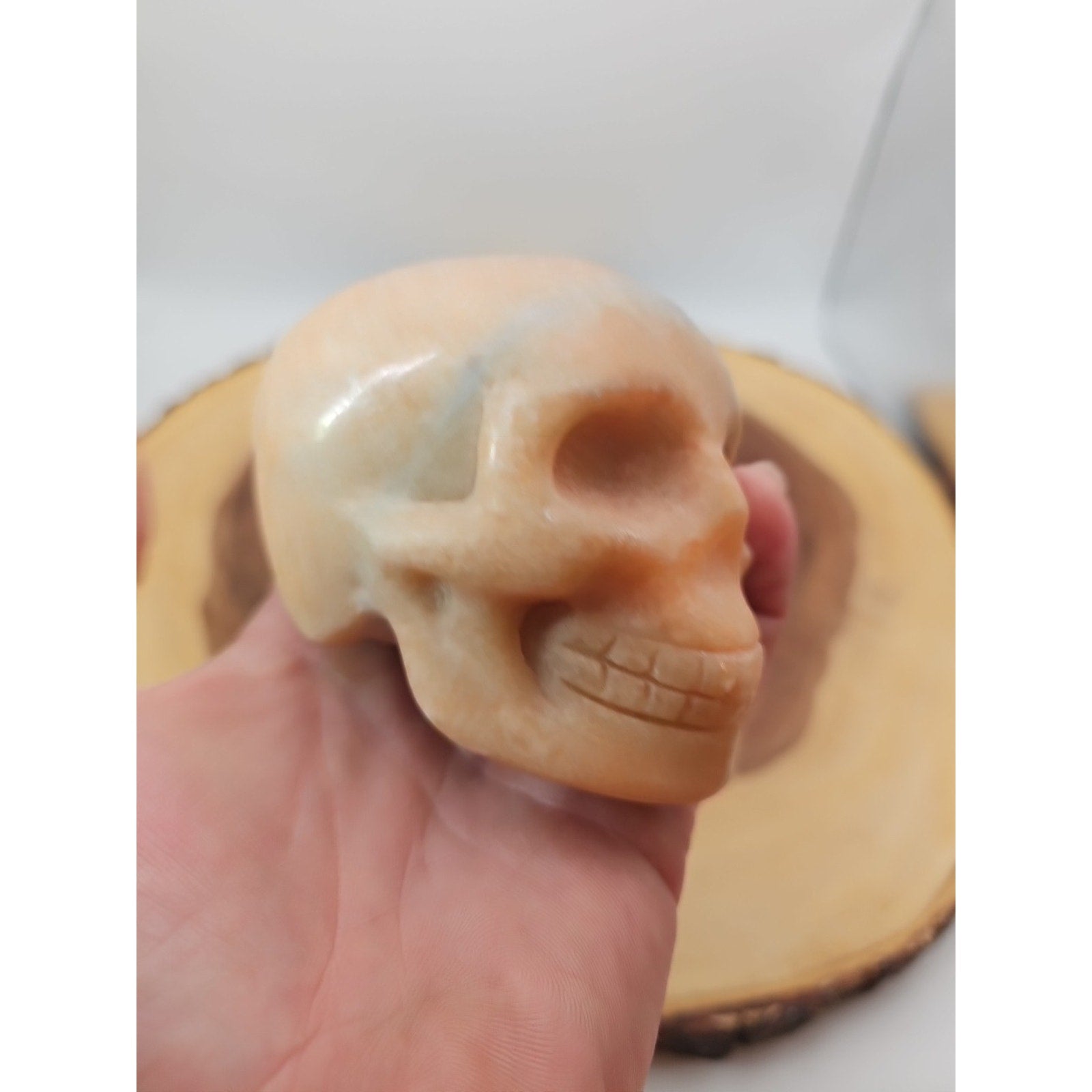 1.24lb Natural Jasper Calcite Skulls Crystal Carving Mixed Stones Healing by CrystalCloud Company