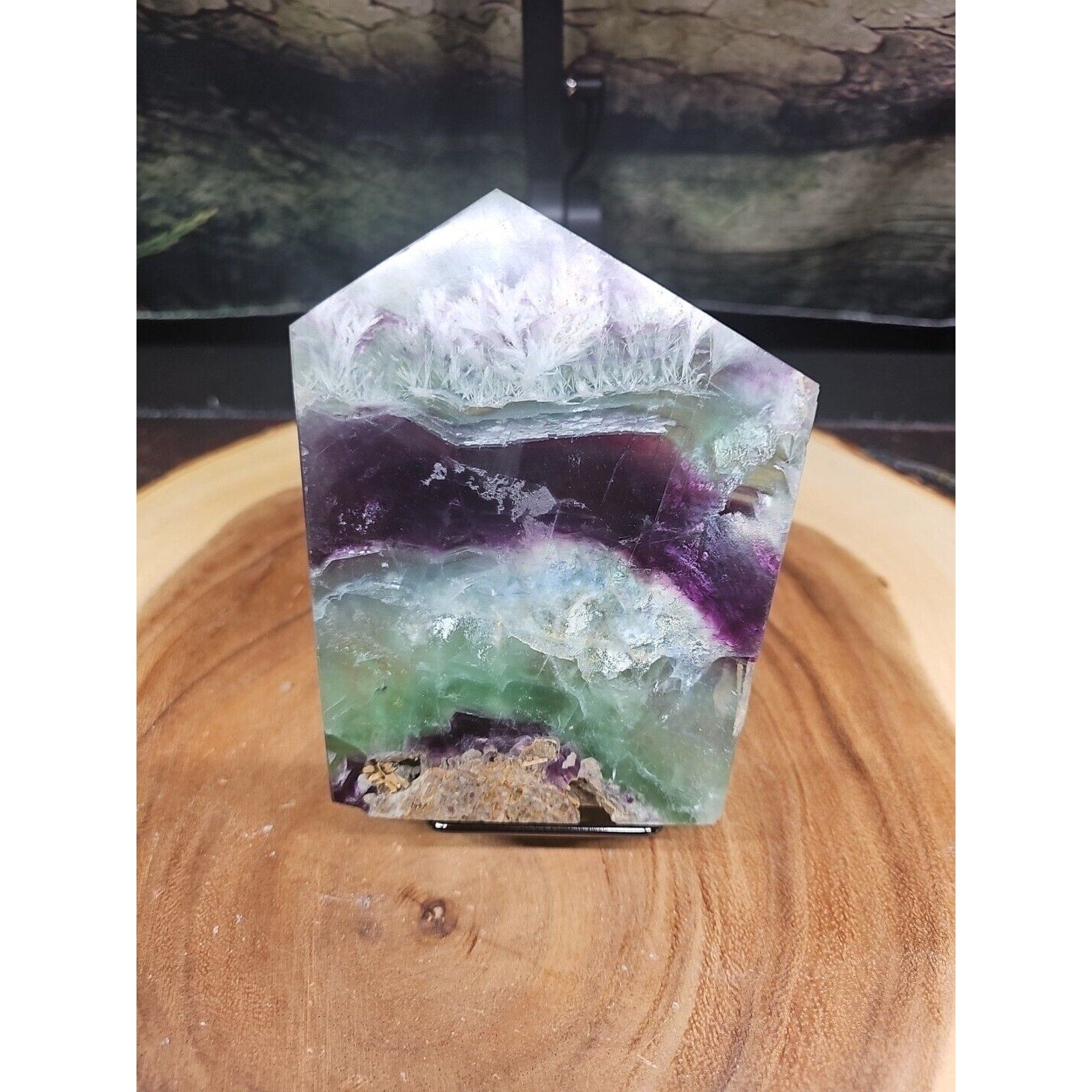 1.15LB Natural fluorite snowflake feather fluorite crystal quartz healing by CrystalCloud Company