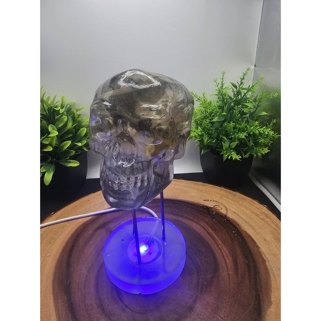 Money skull by CrystalCloud Company
