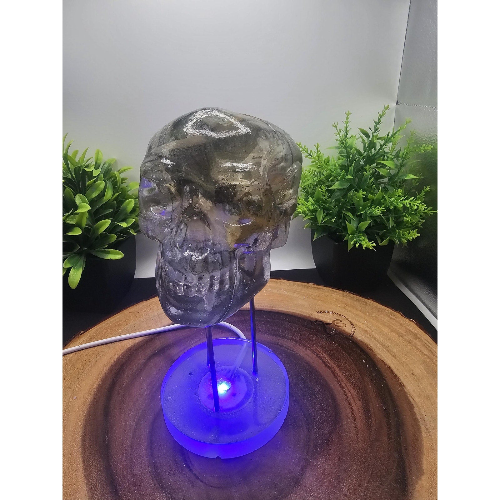 Money skull by CrystalCloud Company