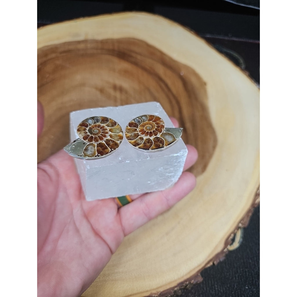 Ammonite Fossil W/Selenite Base 260g by CrystalCloud Company