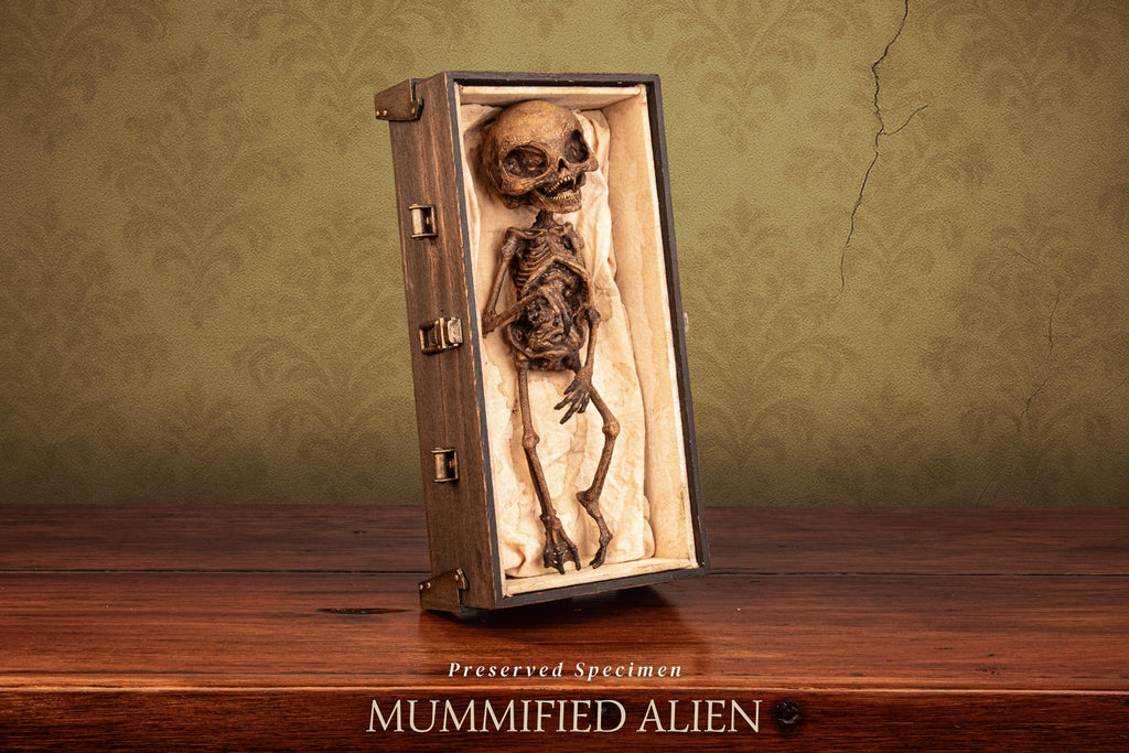 Mummified Alien Specimen