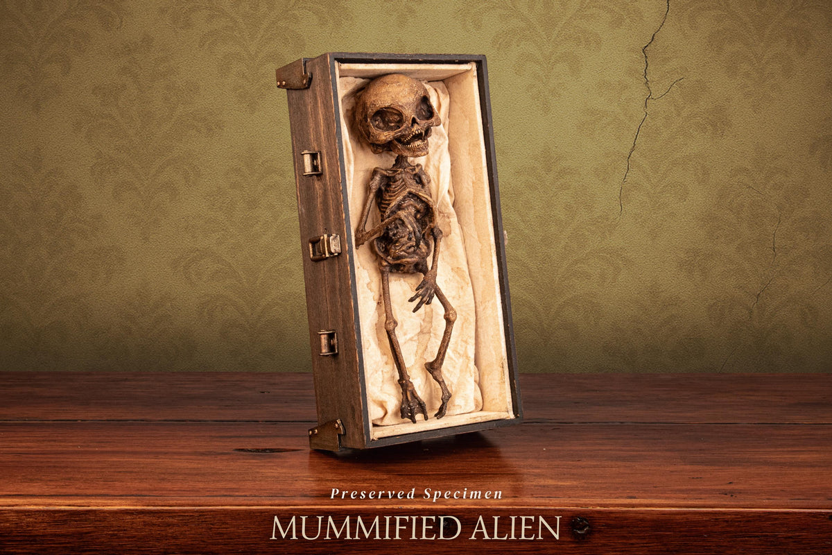 Mummified Alien Specimen