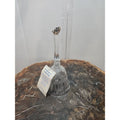 Crystal Bell Branderburg Hademade Limited edition.West Germany Berlin Wall by Branderburg