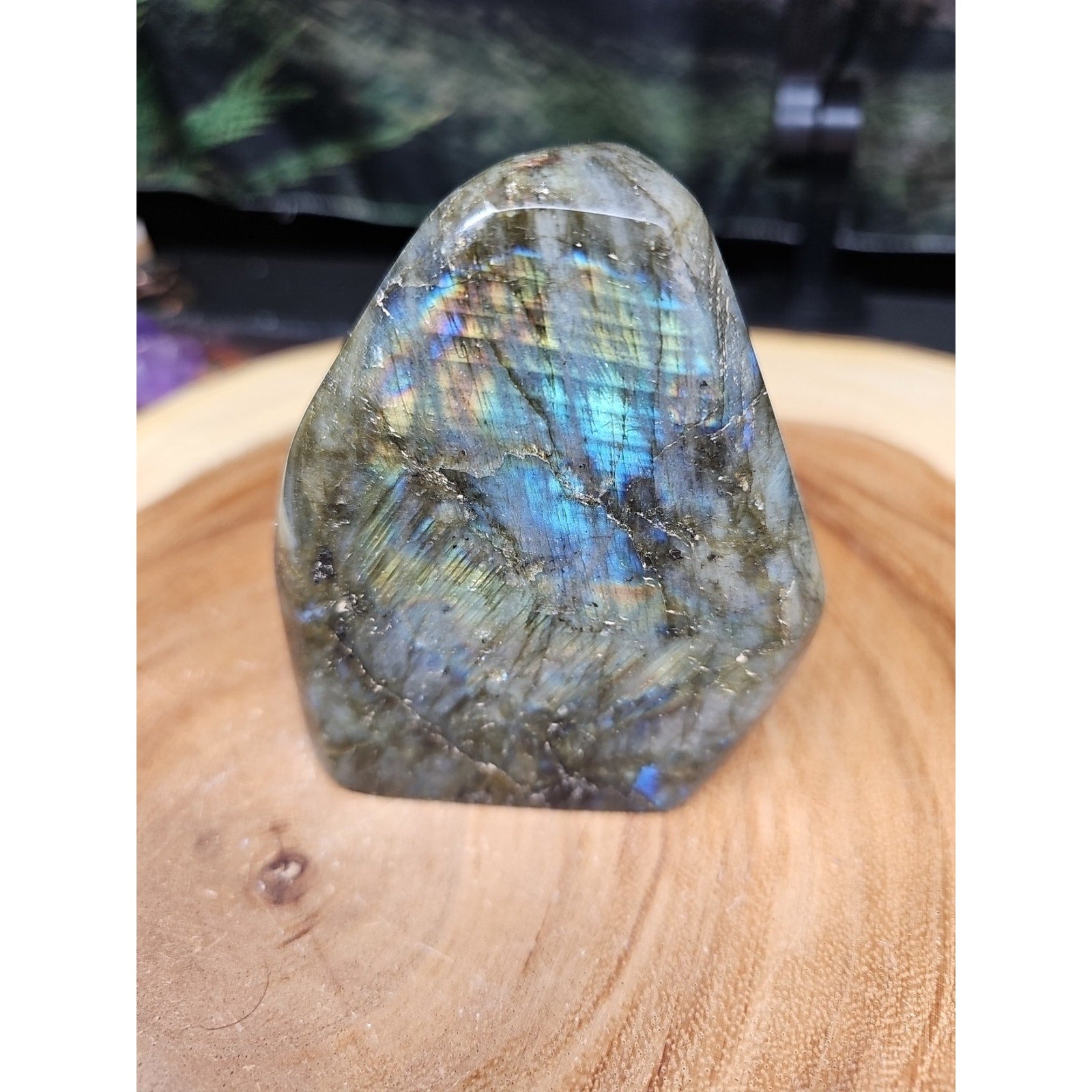 1.48LB 1Pcs Natural Rainbow Labradorite Crystal Spectrolite Stone by CrystalCloud Company