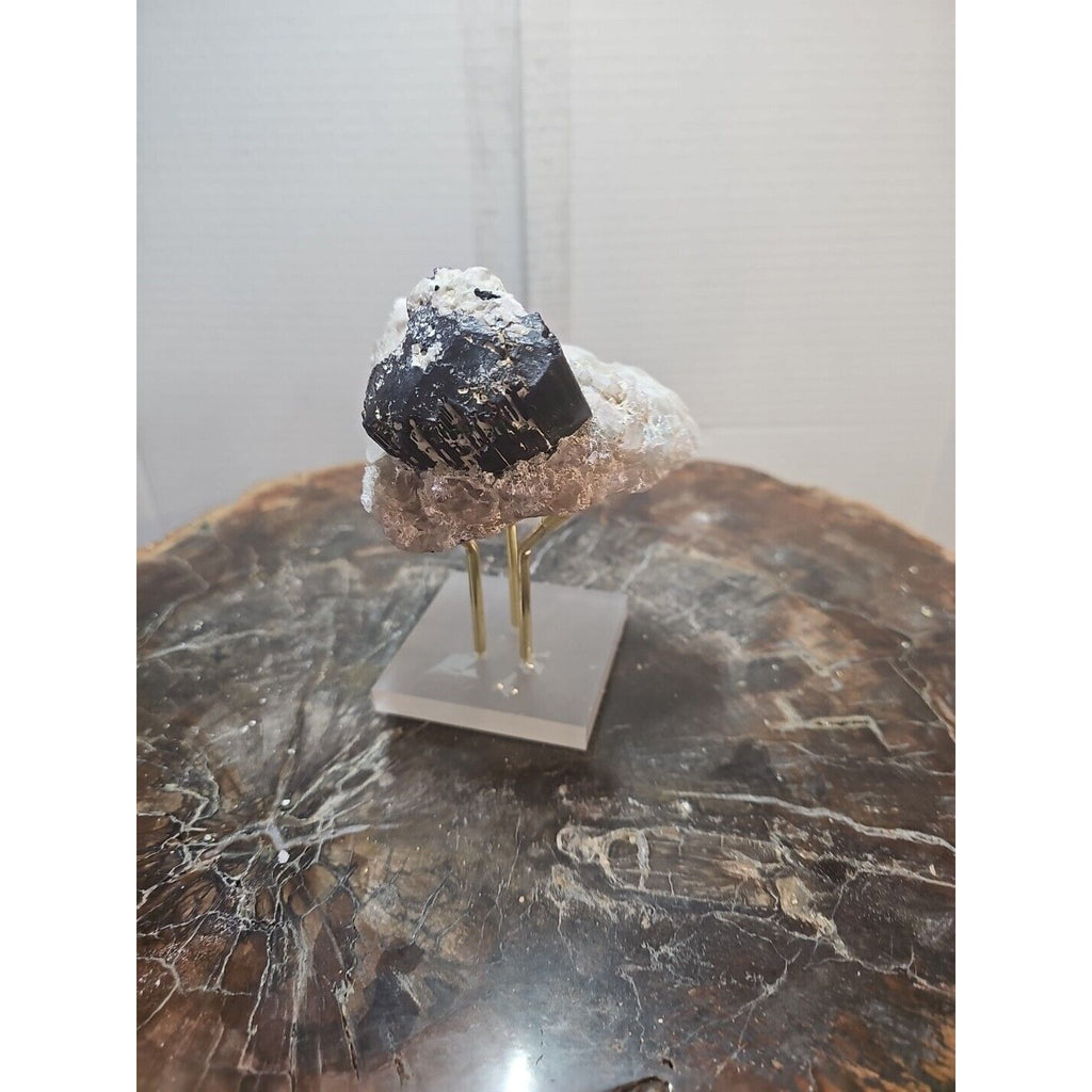 Black Tourmaline Raw Mineral Specimen — 1.11 lbs, Rough Natural Crystal | CrystalCloud Company by CrystalCloud Company
