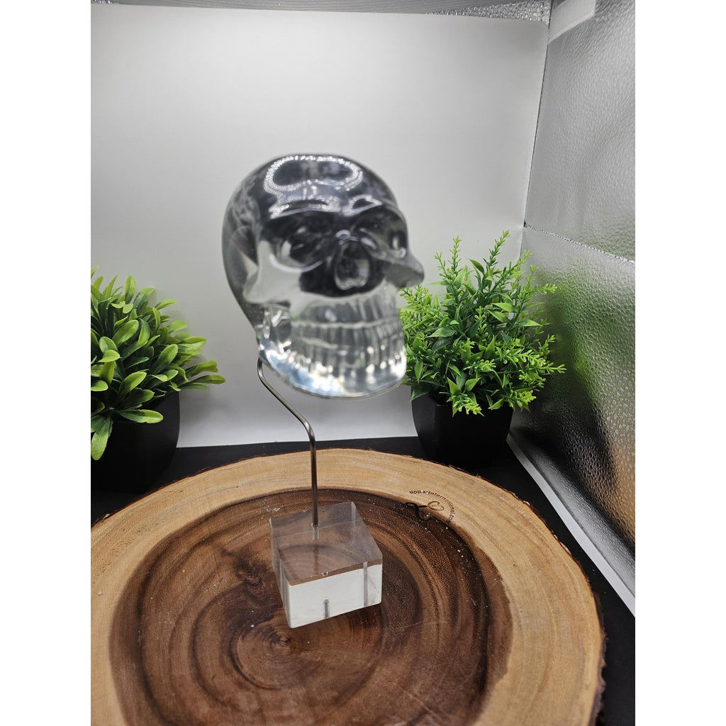 Polychrome resin skull by CrystalCloud Company