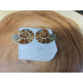 Ammonite Fossil W/Selenite Base 260g by CrystalCloud Company