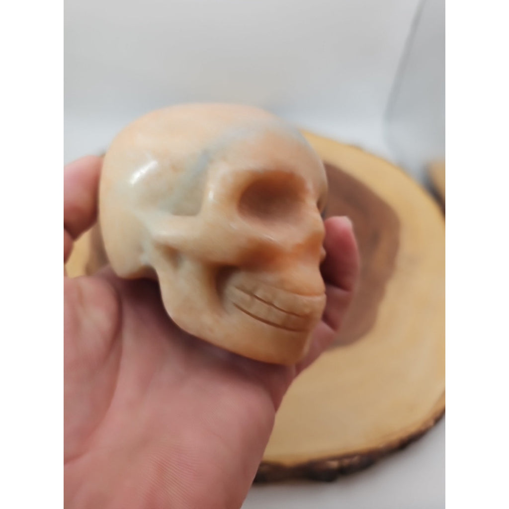 1.24lb Natural Jasper Calcite Skulls Crystal Carving Mixed Stones Healing by CrystalCloud Company