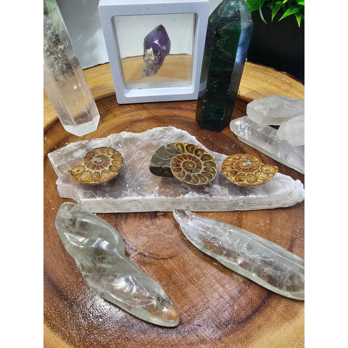Crystal Set Lot — Ammonites, Selenite Slab, Amethyst, Clear Quartz, Green Quartz Tower, Ocean Jasper