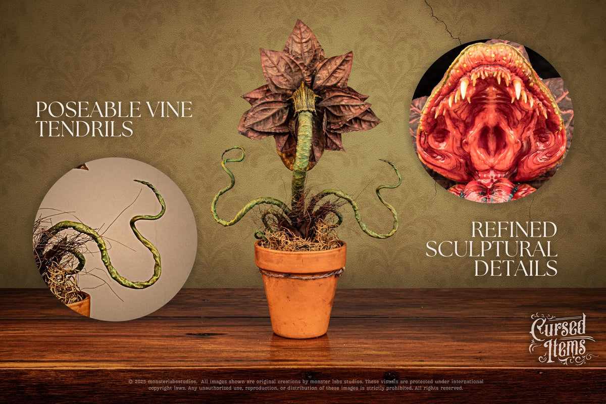 Carnivorous Plant