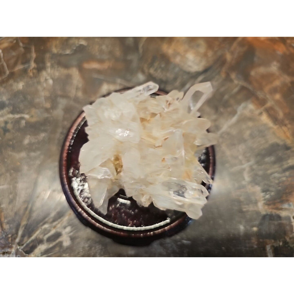 133g Natural Quartz Crystal Cluster with Display Stand - Vitreous Mineral Specimen | CrystalCloud Company by CrystalCloud Company
