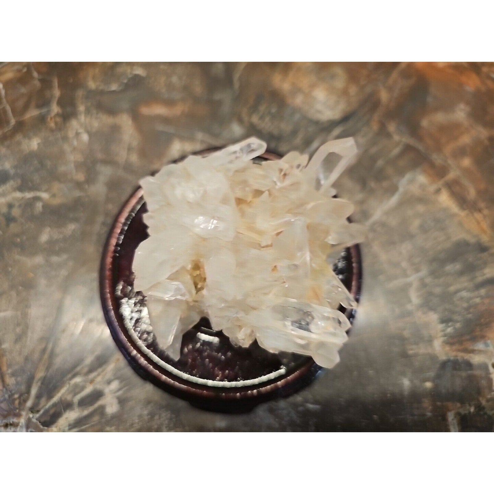 133g Natural Quartz Crystal Cluster with Display Stand - Vitreous Mineral Specimen | CrystalCloud Company by CrystalCloud Company